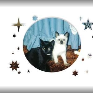 Meet your Posher, Judy